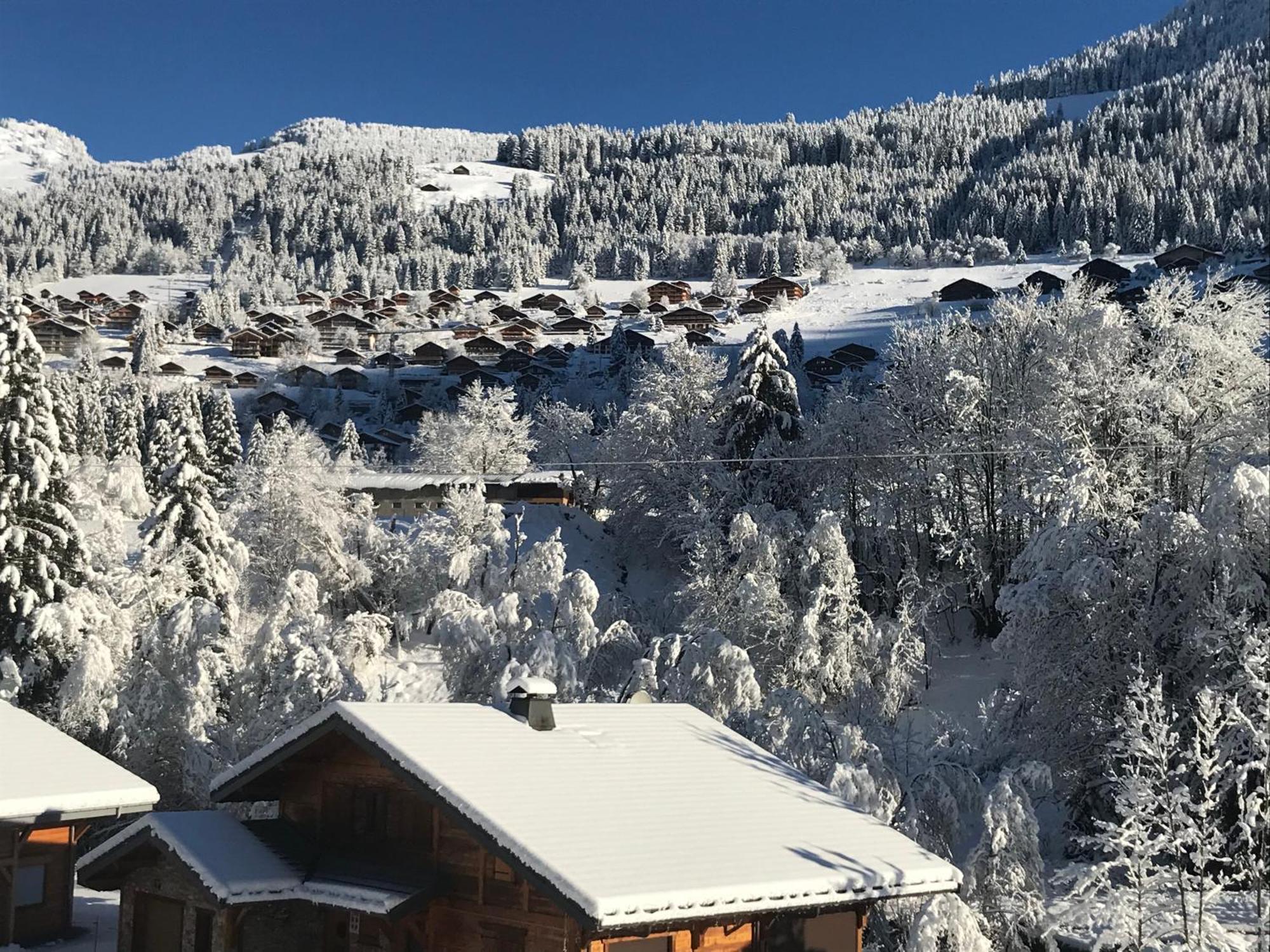 Au Bois De Lune Châtel Dış mekan fotoğraf